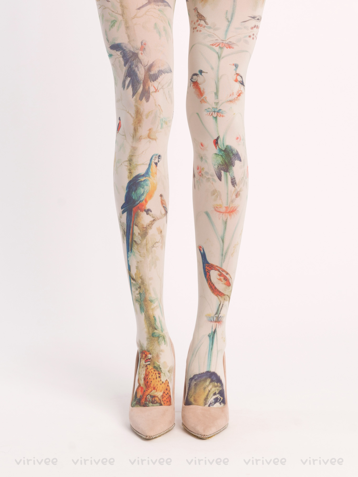 Ara macaws tights